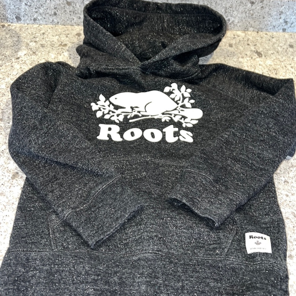 Roots Canada Shimmer Hoodie